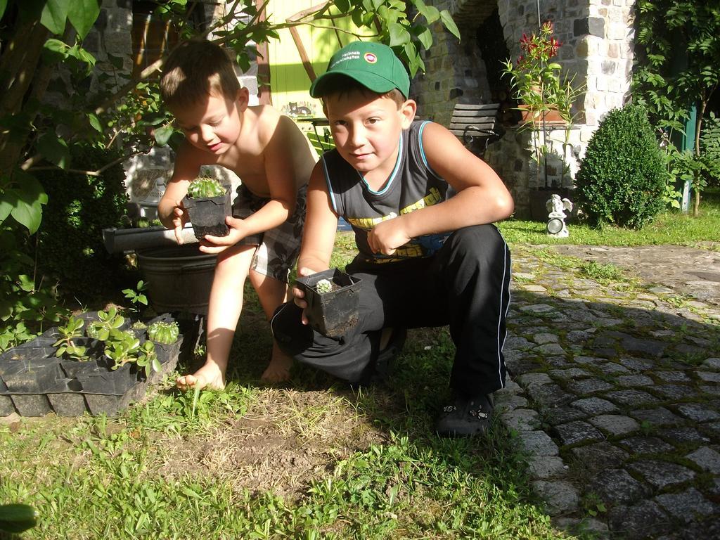 Landferienhaus Pension Erika Mühlhausen Cameră foto